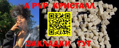 ECSTASY Камышлов