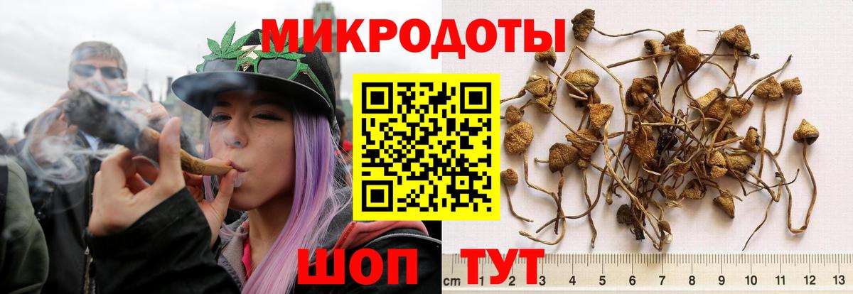 Псилоцибиновые грибы мухоморы  Вход с VPN  Галлюциногенные грибы Psilocybe  Королёв 